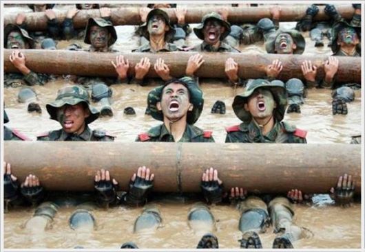 Cool Funny Pictures Of The Week