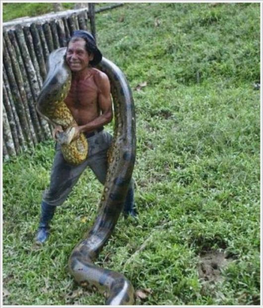 Cool Funny Pictures Of The Week