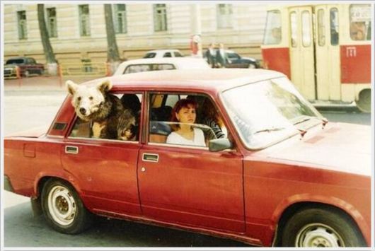 Cool Funny Pictures Of The Week