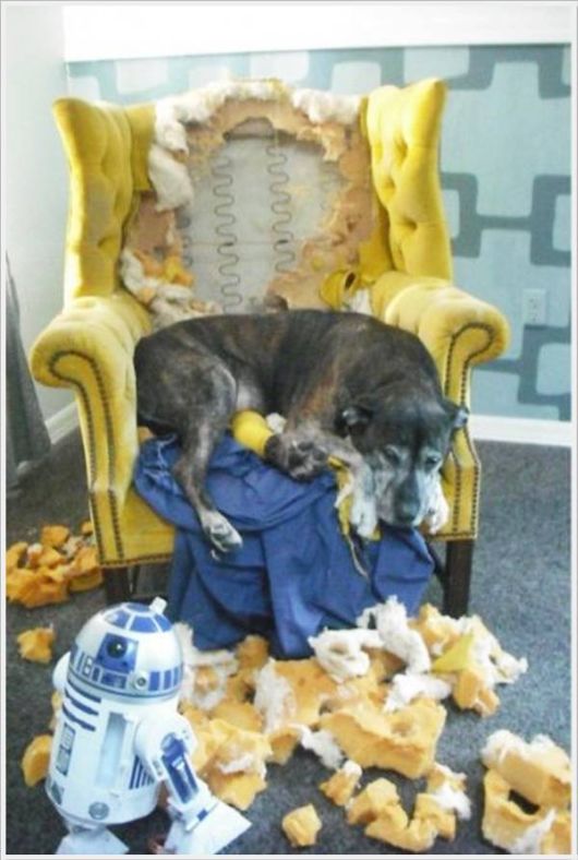 Cool Funny Pictures Of The Week