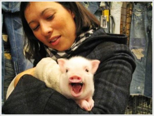 Cool Funny Pictures Of The Week