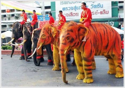 Cool Funny Pictures Of The Week