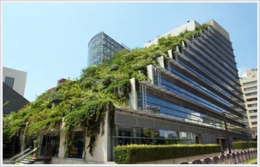 Cool Funny Pictures Of The Week