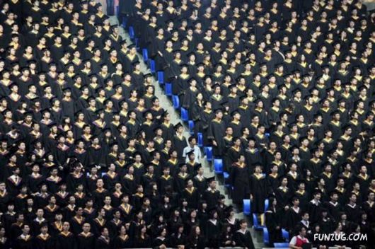 A Few Fun Pictures Collection