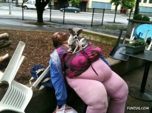 A Few Fun Pictures Collection