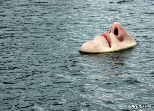 A Few Fun Pictures Collection