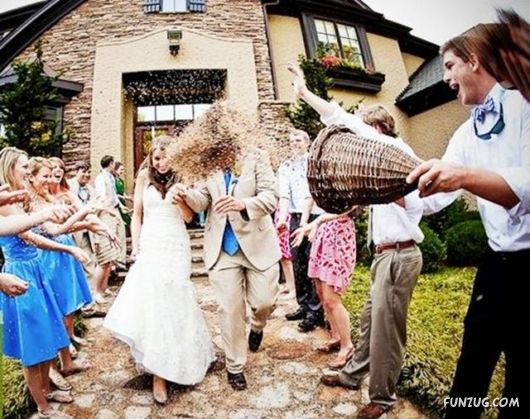 A Few Fun Pictures Collection