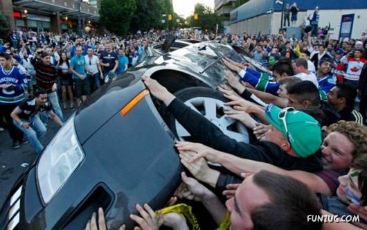 A Few Fun Pictures Collection