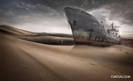 A Few Fun Pictures Collection