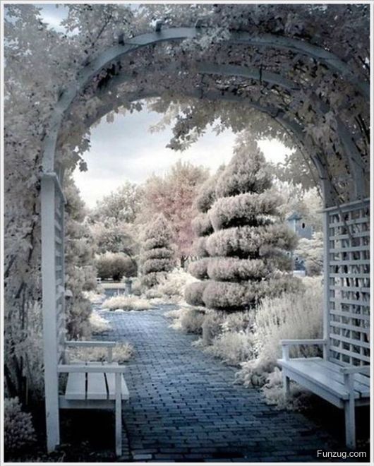 Foto Fun Cool Pictures