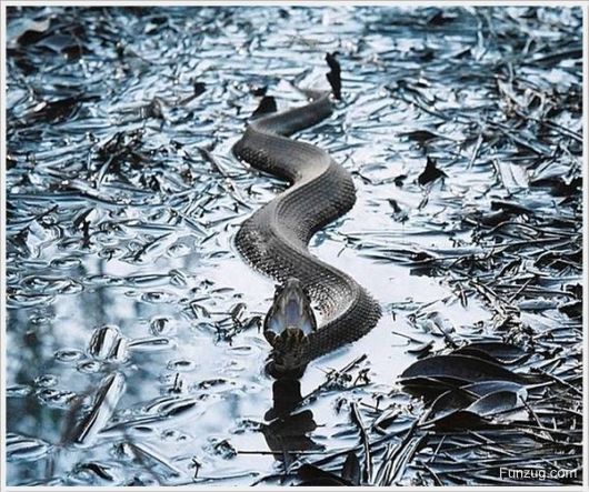 Foto Fun Cool Pictures