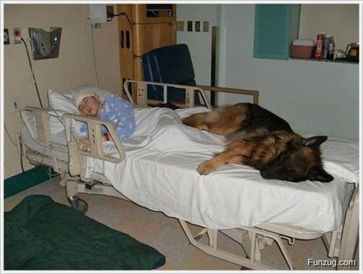 Foto Fun Cool Pictures