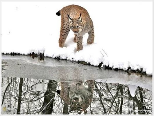 Foto Fun Cool Pictures