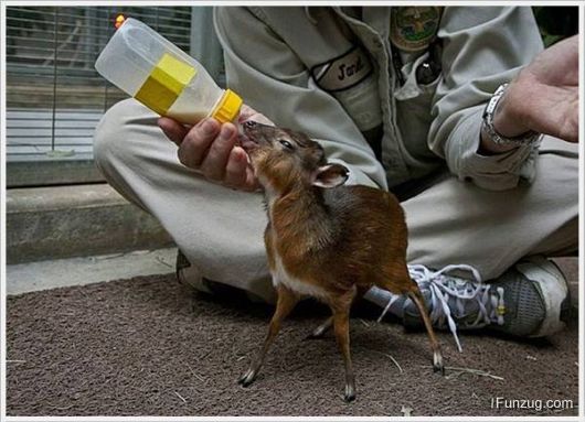 Foto Fun Cool Pictures