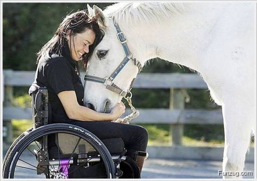 Foto Fun Cool Pictures