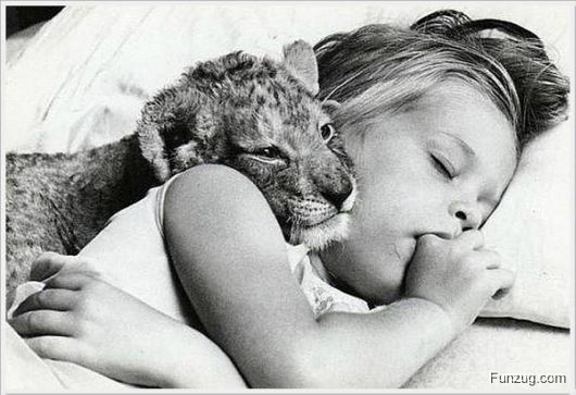 Foto Fun Cool Pictures