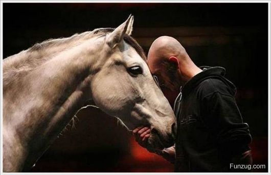 Foto Fun Cool Pictures