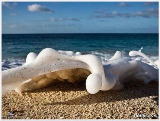 More Cool Funny Pictures