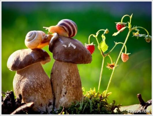 More Cool Funny Pictures