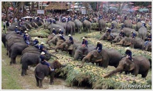 More Cool Funny Pictures