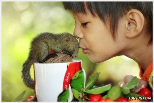 More Cool Funny Pictures