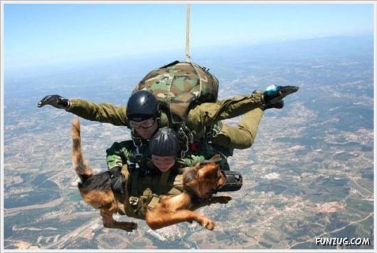 More Cool Funny Pictures