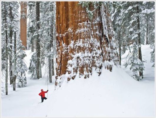 The Best Of Nat Geo Pictures Of 2012