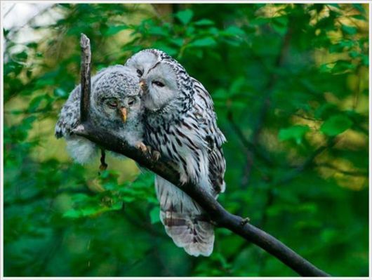 The Best Of Nat Geo Pictures Of 2012