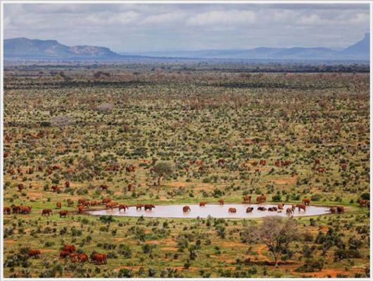 The Best Of Nat Geo Pictures Of 2012