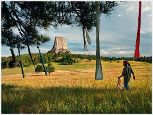 The Best Of Nat Geo Pictures Of 2012