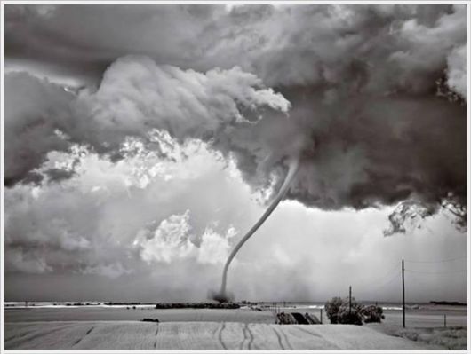 The Best Of Nat Geo Pictures Of 2012