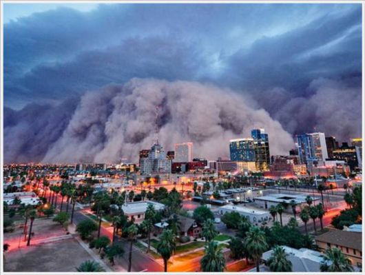 The Best Of Nat Geo Pictures Of 2012