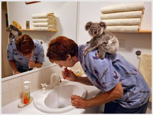 The Best Of Nat Geo Pictures Of 2012