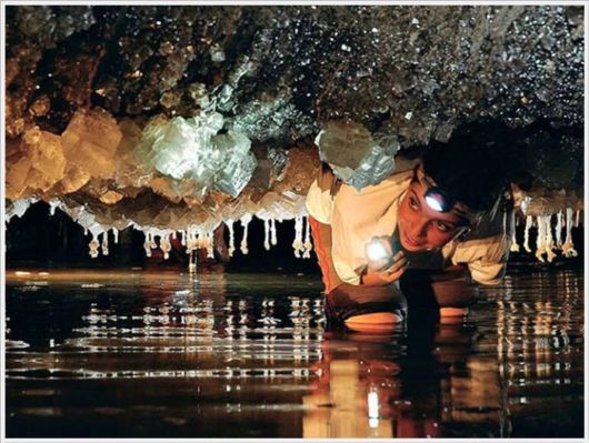 The Best Of Nat Geo Pictures Of 2012