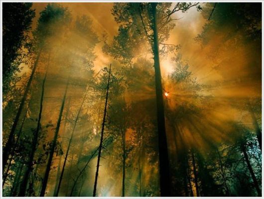 The Best Of Nat Geo Pictures Of 2012