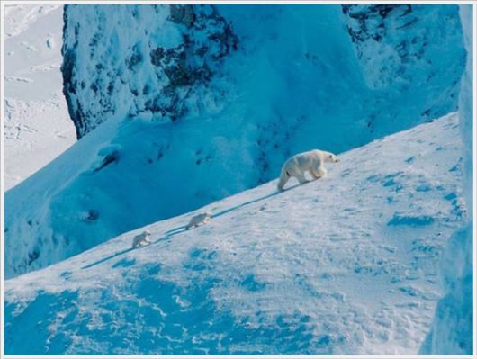 The Best Of Nat Geo Pictures Of 2012