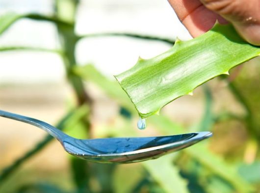 Natural Remedies For Diabetes