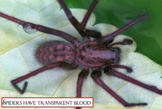 Bizarre And Astonishing Facts