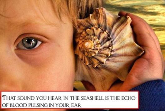 Bizarre And Astonishing Facts