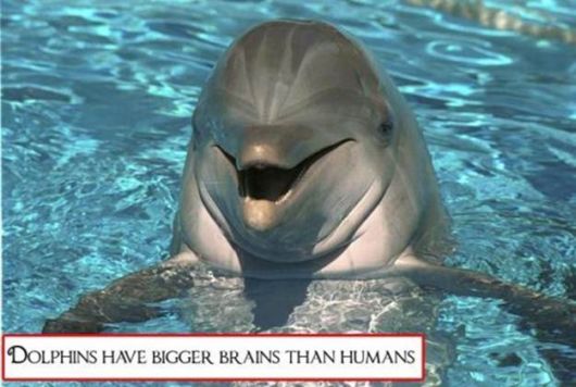 Bizarre And Astonishing Facts