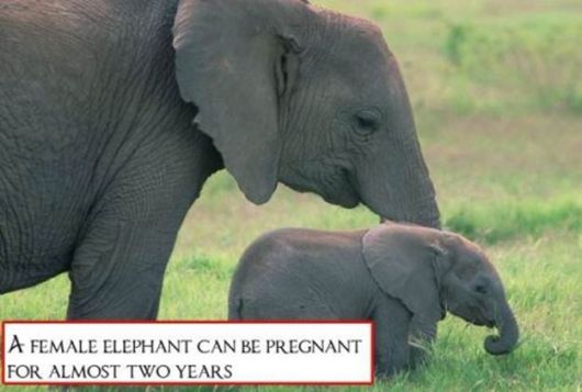 Bizarre And Astonishing Facts