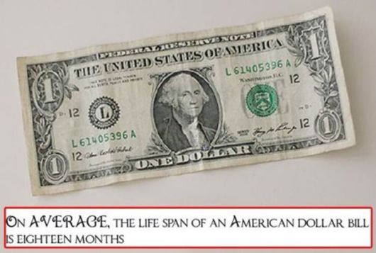 Bizarre And Astonishing Facts