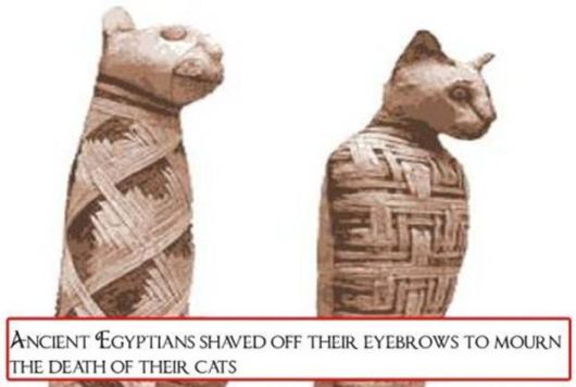 Bizarre And Astonishing Facts