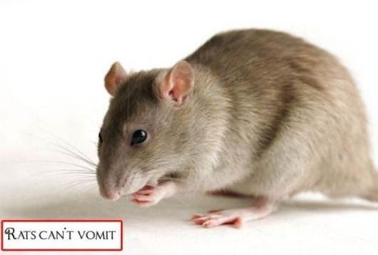 Bizarre And Astonishing Facts