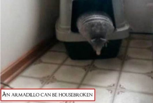 Bizarre And Astonishing Facts