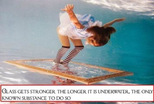 Bizarre And Astonishing Facts