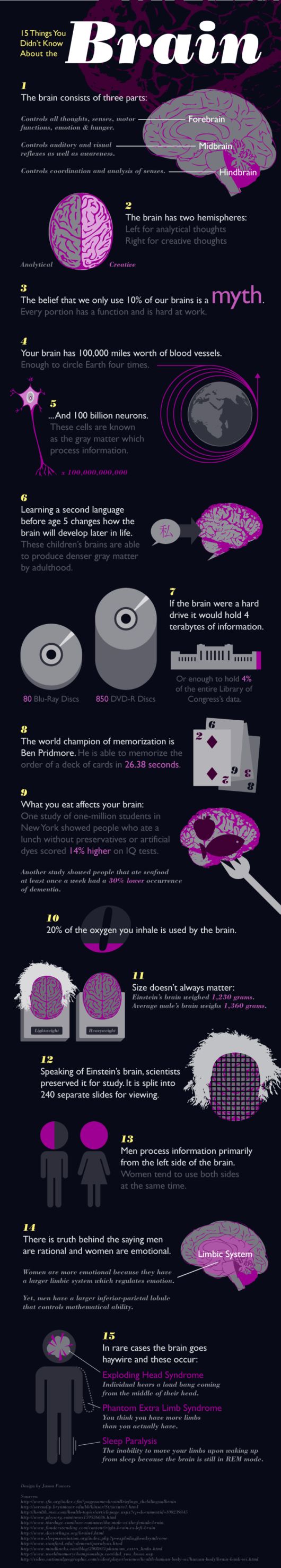 15 Things You Didn't Know About Your Brain