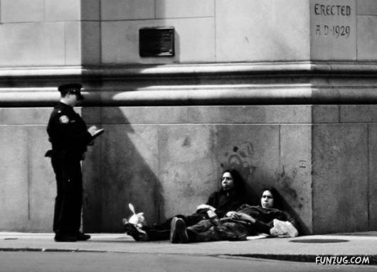 Amazing Pictures Worth 1000 Words