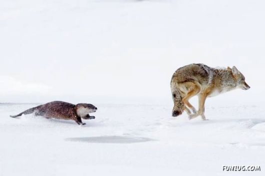 Awesome Pix Of The Week