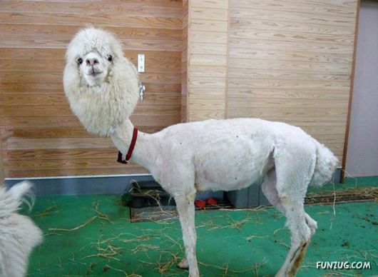 Awesome Pix Of The Week